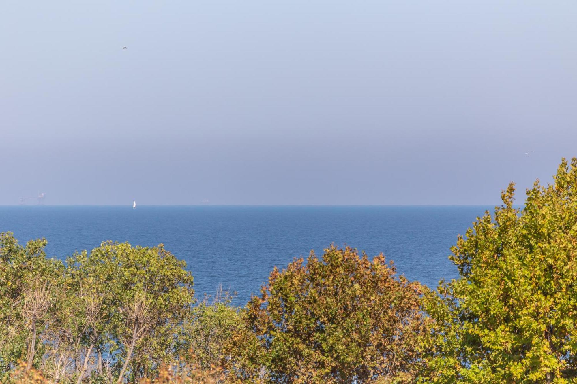 Hotel Naica Rimini Dış mekan fotoğraf